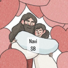 Navi SB