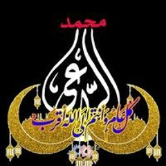 Mohamed Alraey