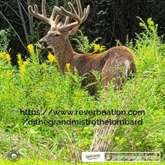 The Grand Mistro- The Lombard