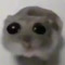 Waylon_thatonekid