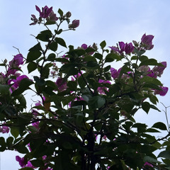 New private playlist