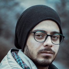 hamed heydari