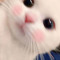 adung