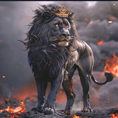 DJ LION