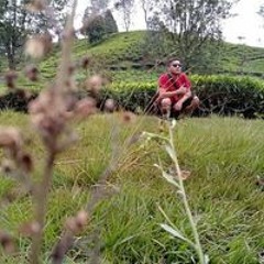 Yohanes Hutasoit