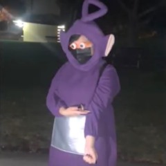 Sanchezaiden