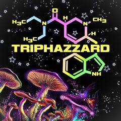 TripHazzard