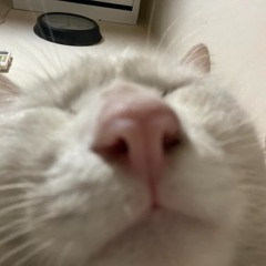 qhunq2