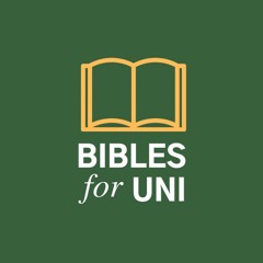 Bibles for Uni 2