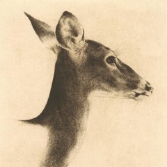 ZenBlack(@zzenblack)