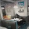 a place for my demos
