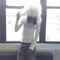 qlos (@__qlos__)