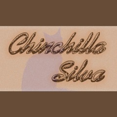 Chinchilla Silva