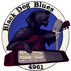 Black Dog Blues on WTSQ 88.1FM - The Status Quo
