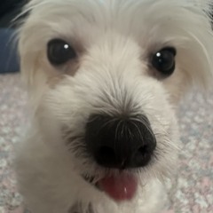김아인