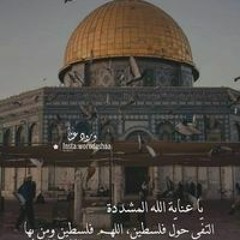 Nashwa Kamal