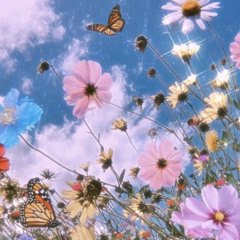 𝑚𝑒𝑙𝑥𝑑𝑖𝑐𝑚𝑜𝑜𝑛