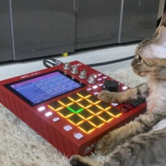 Cutmasta Daz