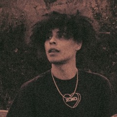 noahwolf1