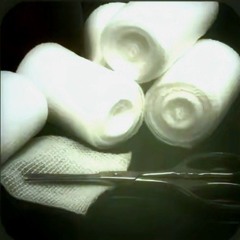 ★¿!Testsubject_248¡?★