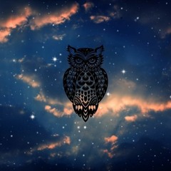 Djé Owl