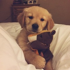 ma m๋ a 🐶