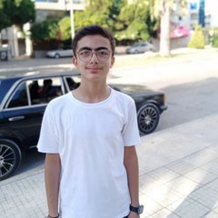Nour Emad Karbejha