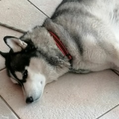 In the middle corner