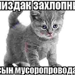 qwweco