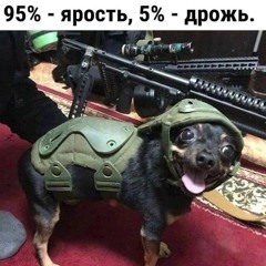 Йоха-панк