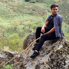 javad dalir79