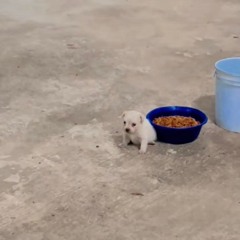 서영