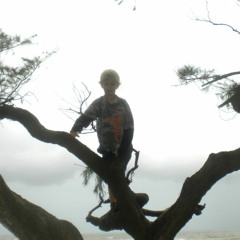 ZupzZepz