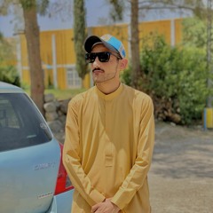 عامر محمد حسنی