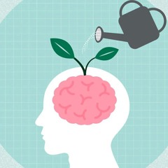 FeedYourBrain