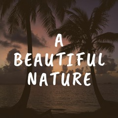 A Beautiful Nature