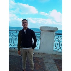 mahmoud hdiub
