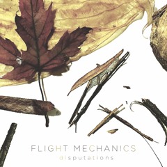 Flight Mechanics