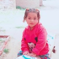 محمد سالم شعيل