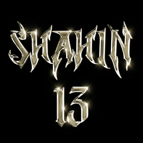 Shahin13’s avatar