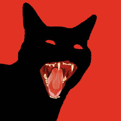 black cat