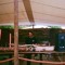 Tardigrade_dub