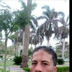 ياسر الشوبري