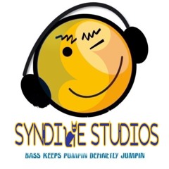 The Source Ft Candi Stanton - U Got The Love (HausMiesters Remix)