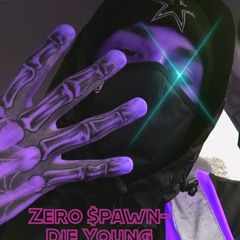 🎡Zero $pawn🎡