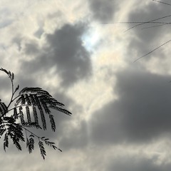 رِهْمة