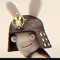 Samurai rabbit