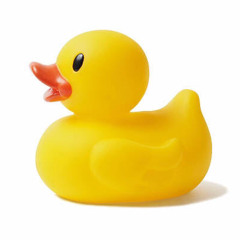 rubber______duck