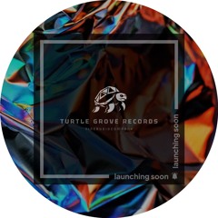 Turtle Grove Records