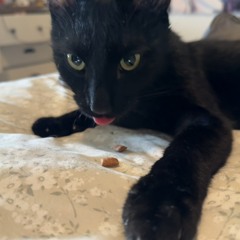 mo🎀
